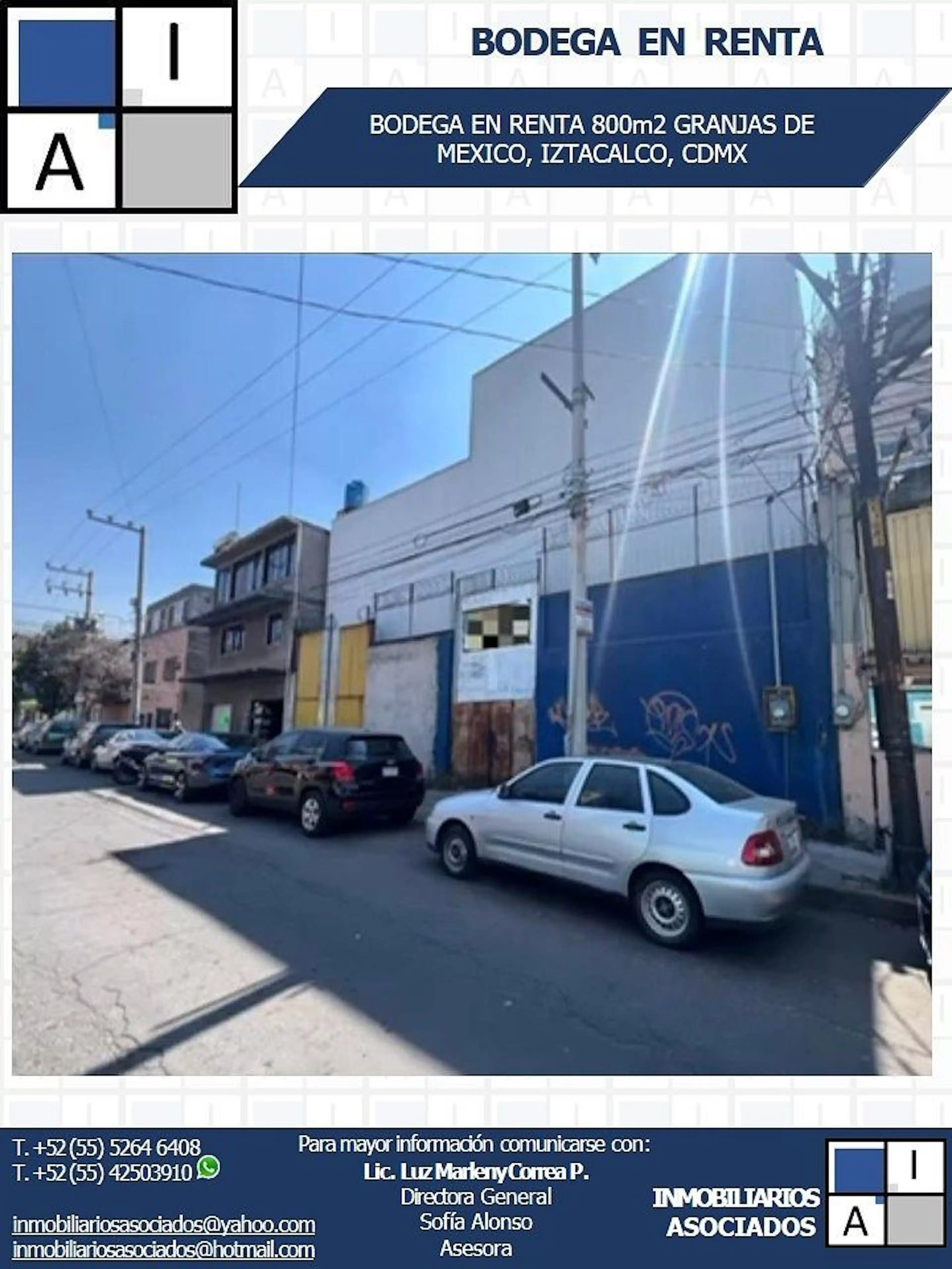 Eje 3 Sur (añil)