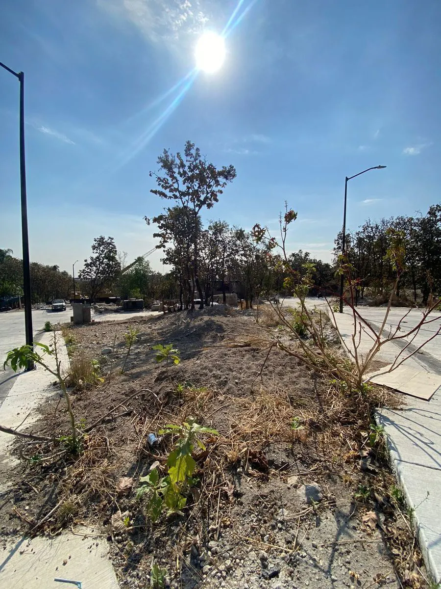 Terreno Spot2