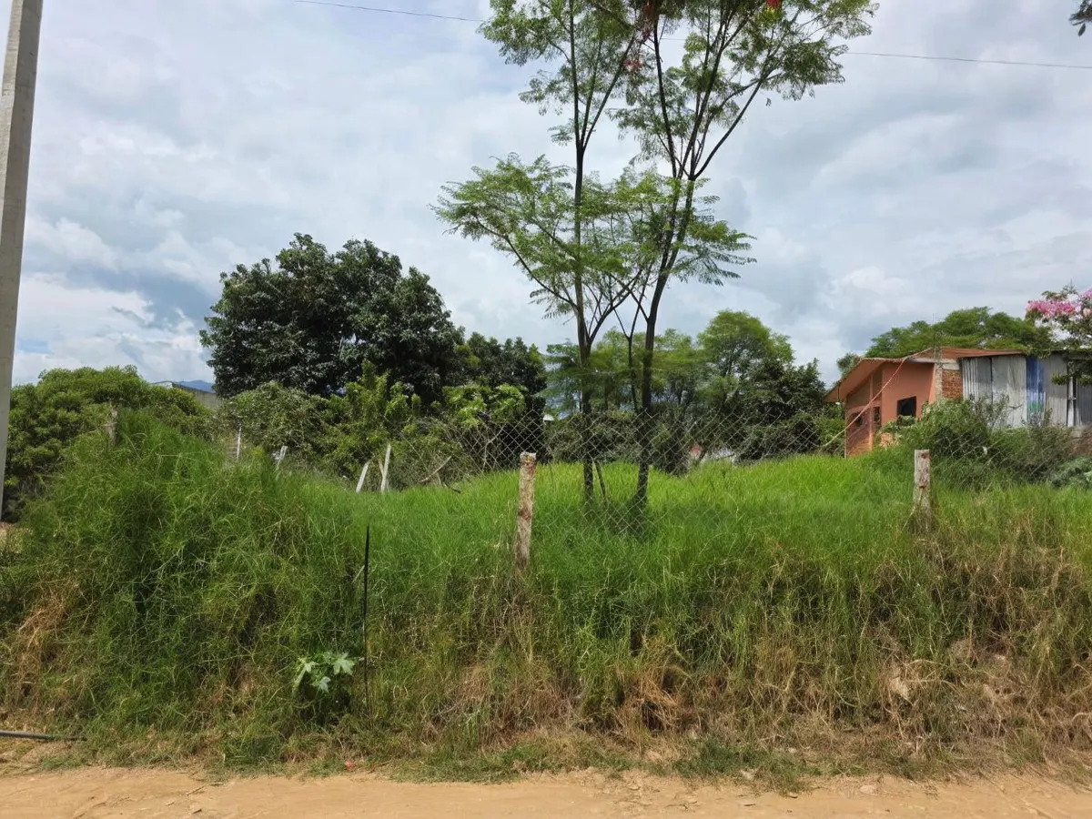 Terreno Spot2