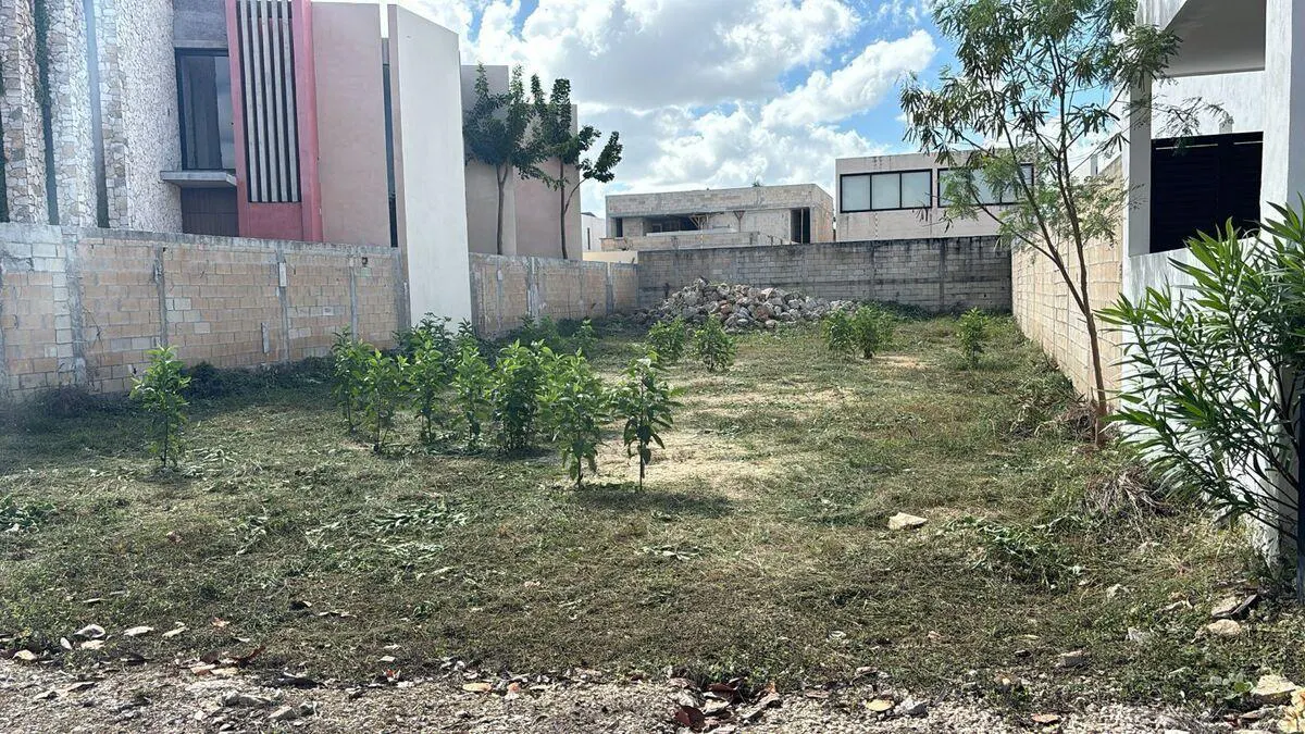 Terreno Spot2