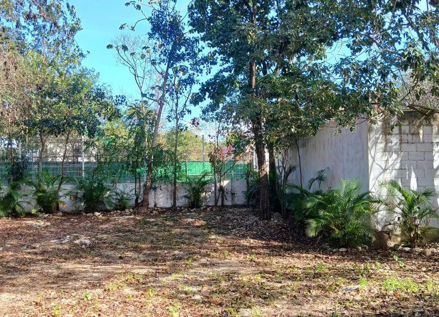 Terreno Spot2