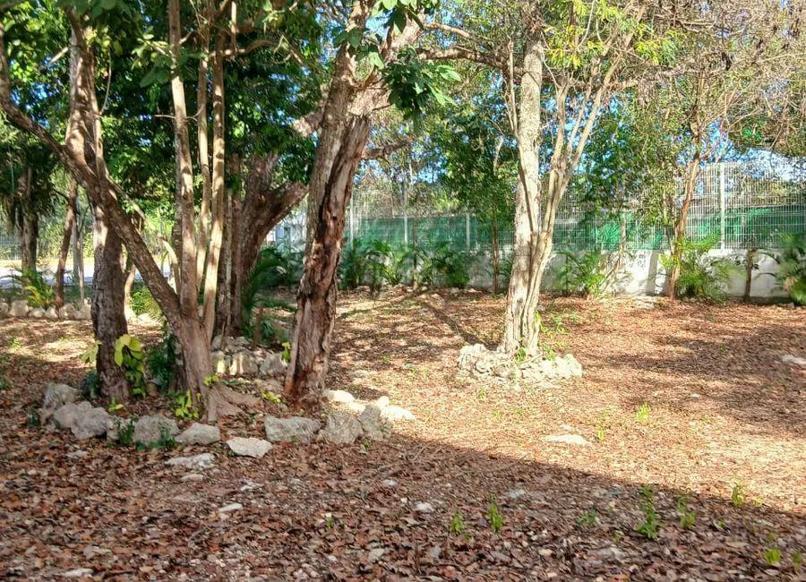 Terreno Spot2