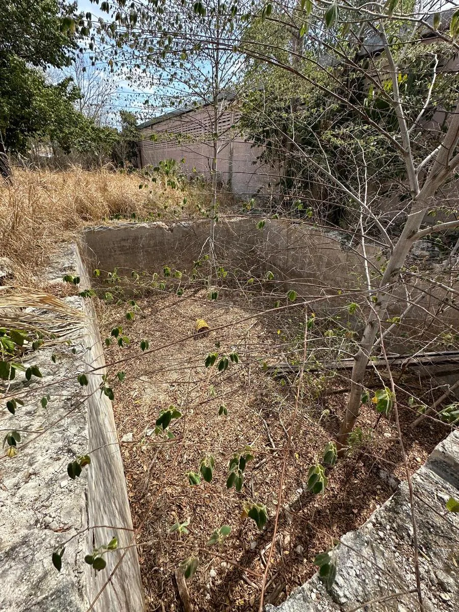 Terreno Spot2