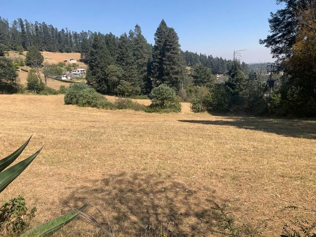 Terreno Spot2