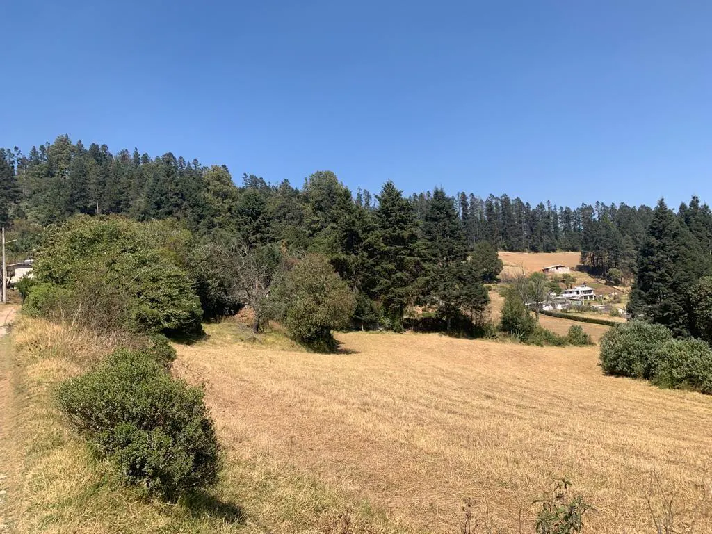 Terreno Spot2