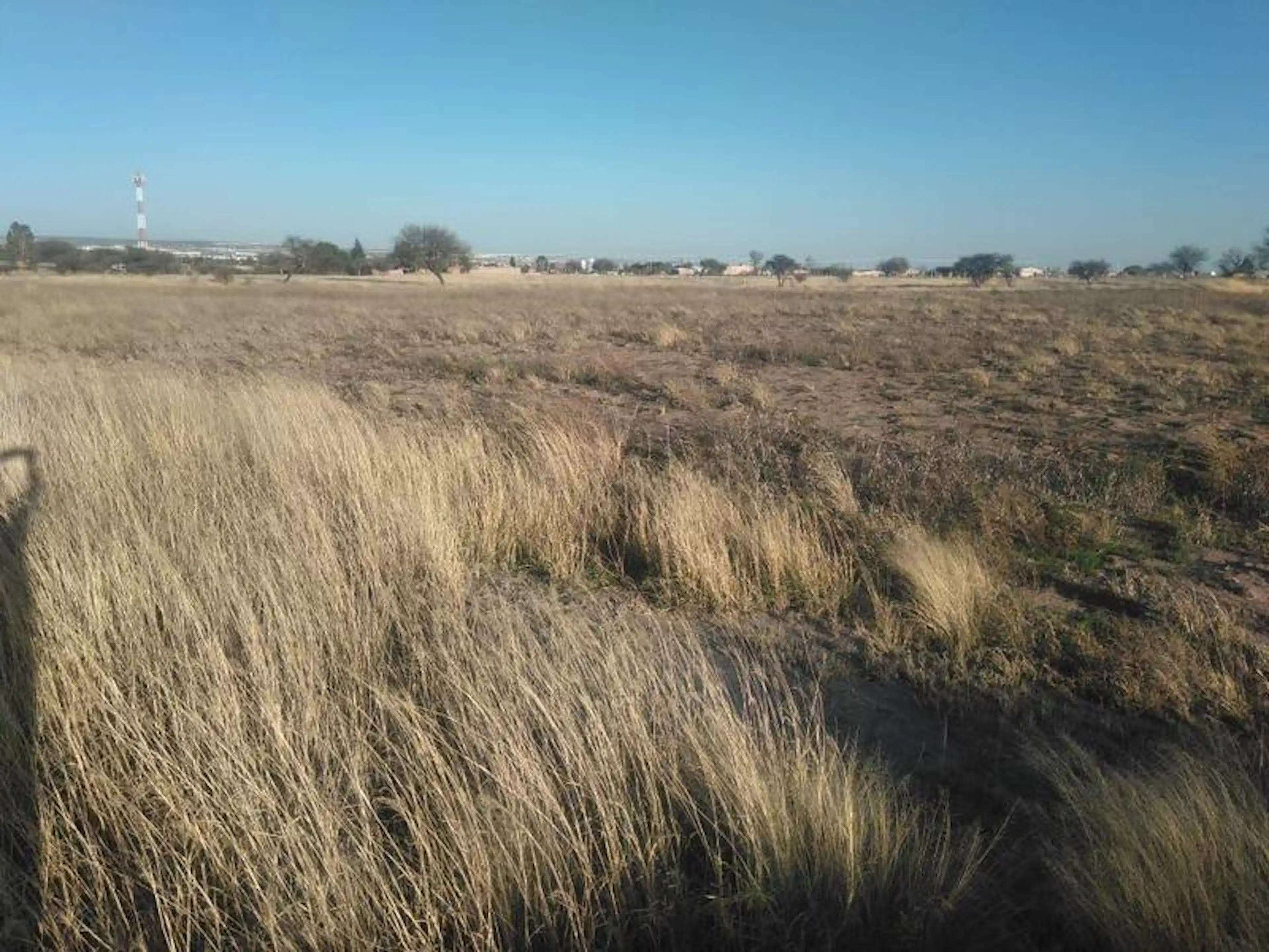 Venta De Terreno En Los Negritos, En Aguascalientes.