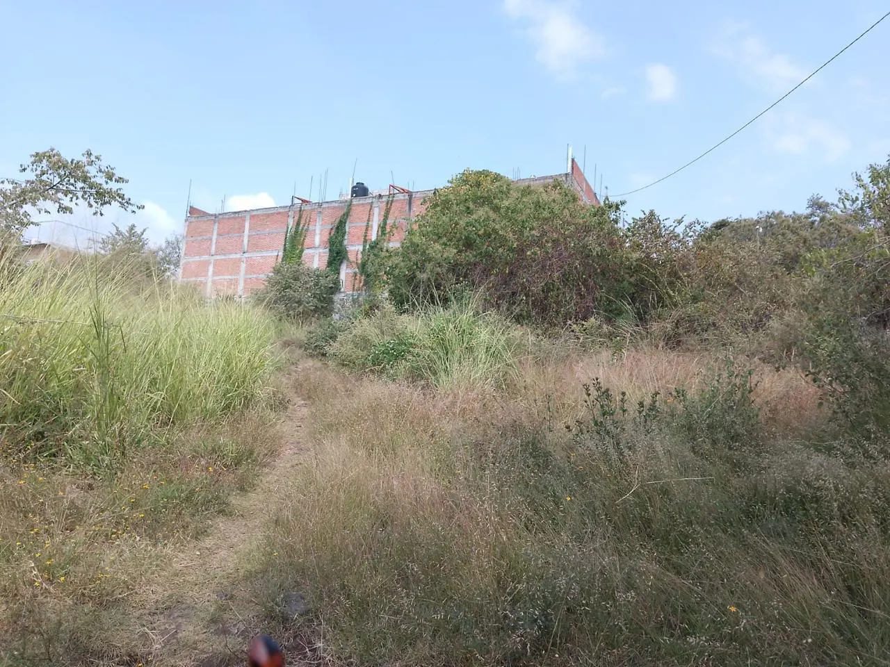 Terreno Spot2