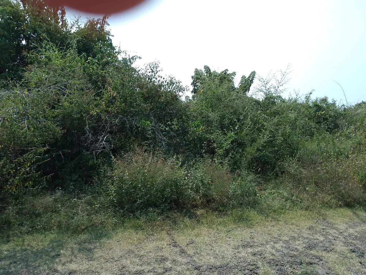 Terreno Spot2