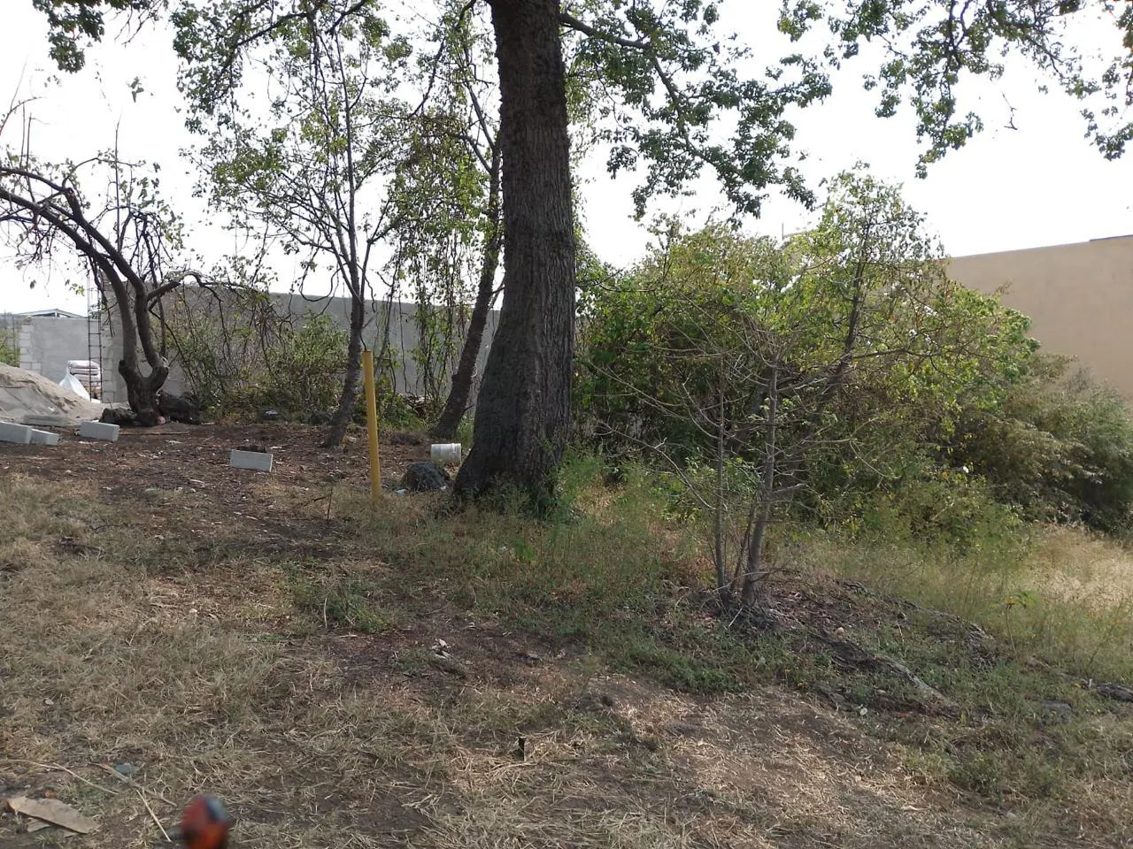 Terreno Spot2