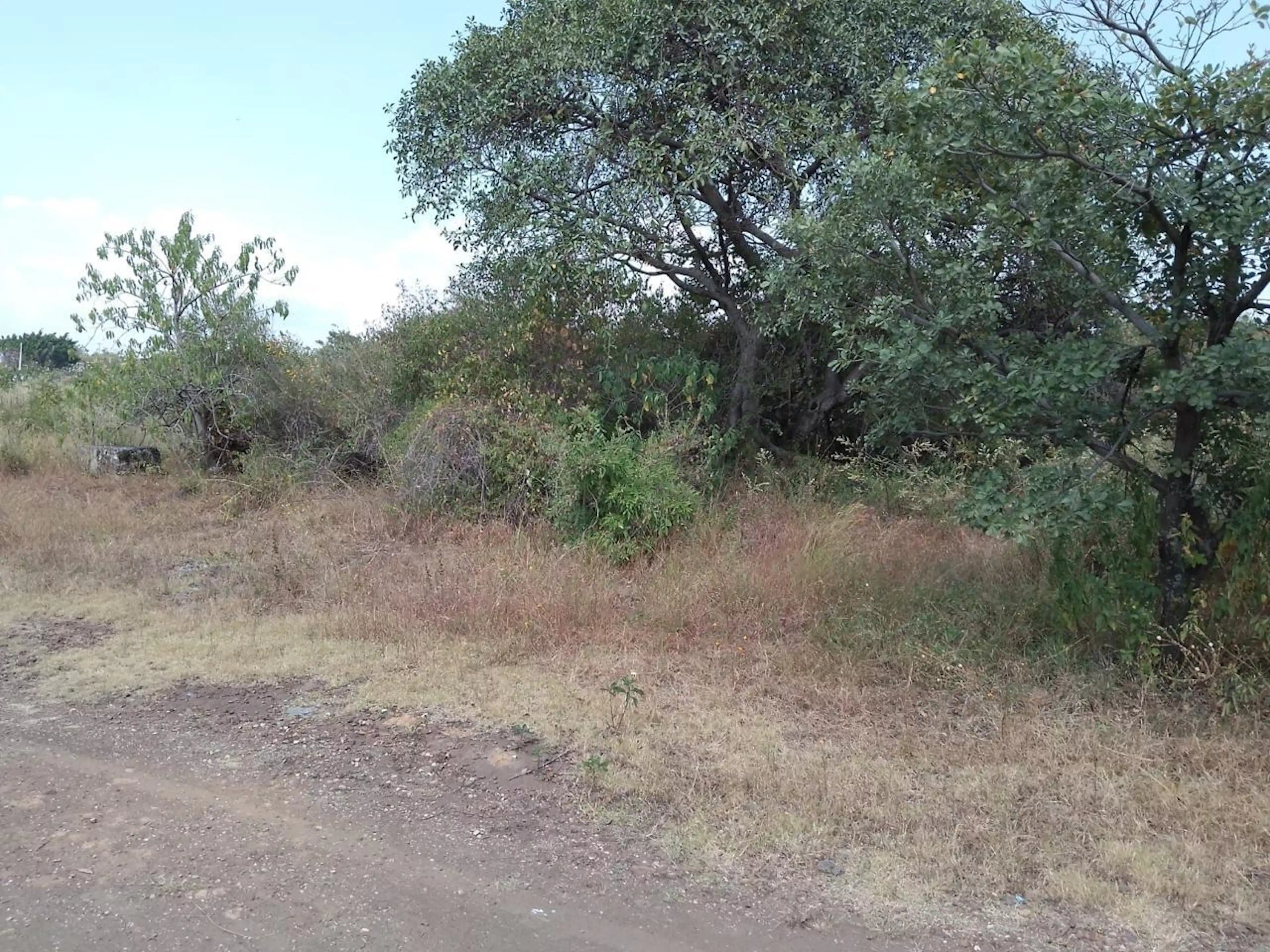 Terrenos En Lomas De Morillo Yautepec