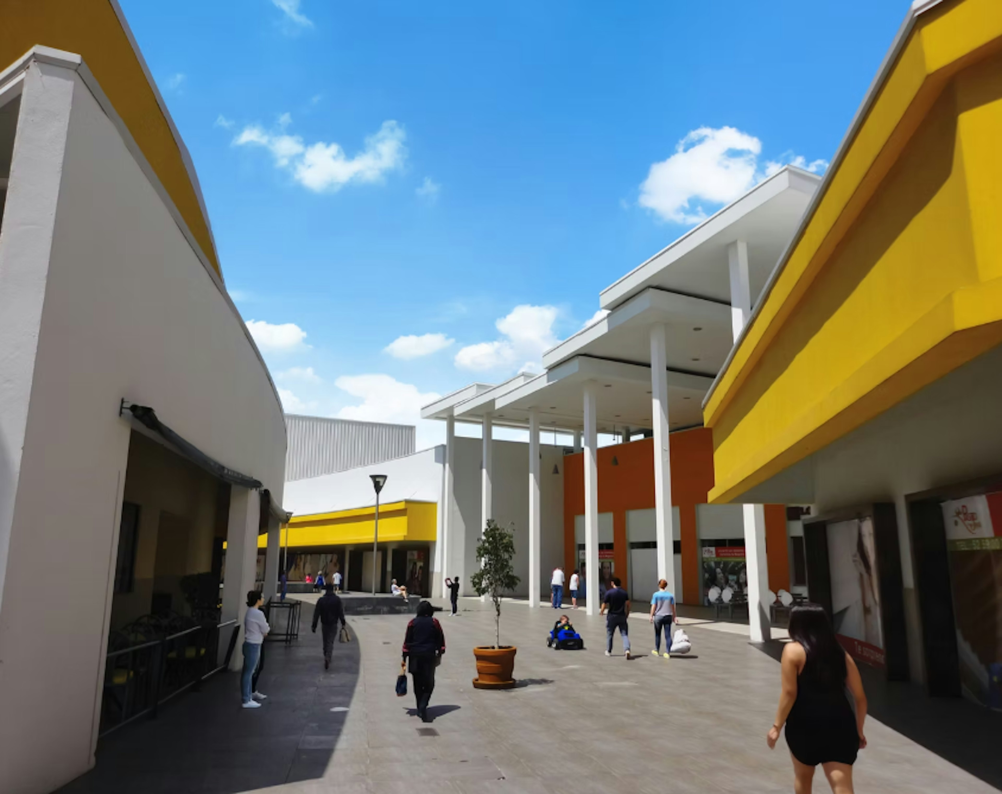 Local 11, 12 Y 17-photo