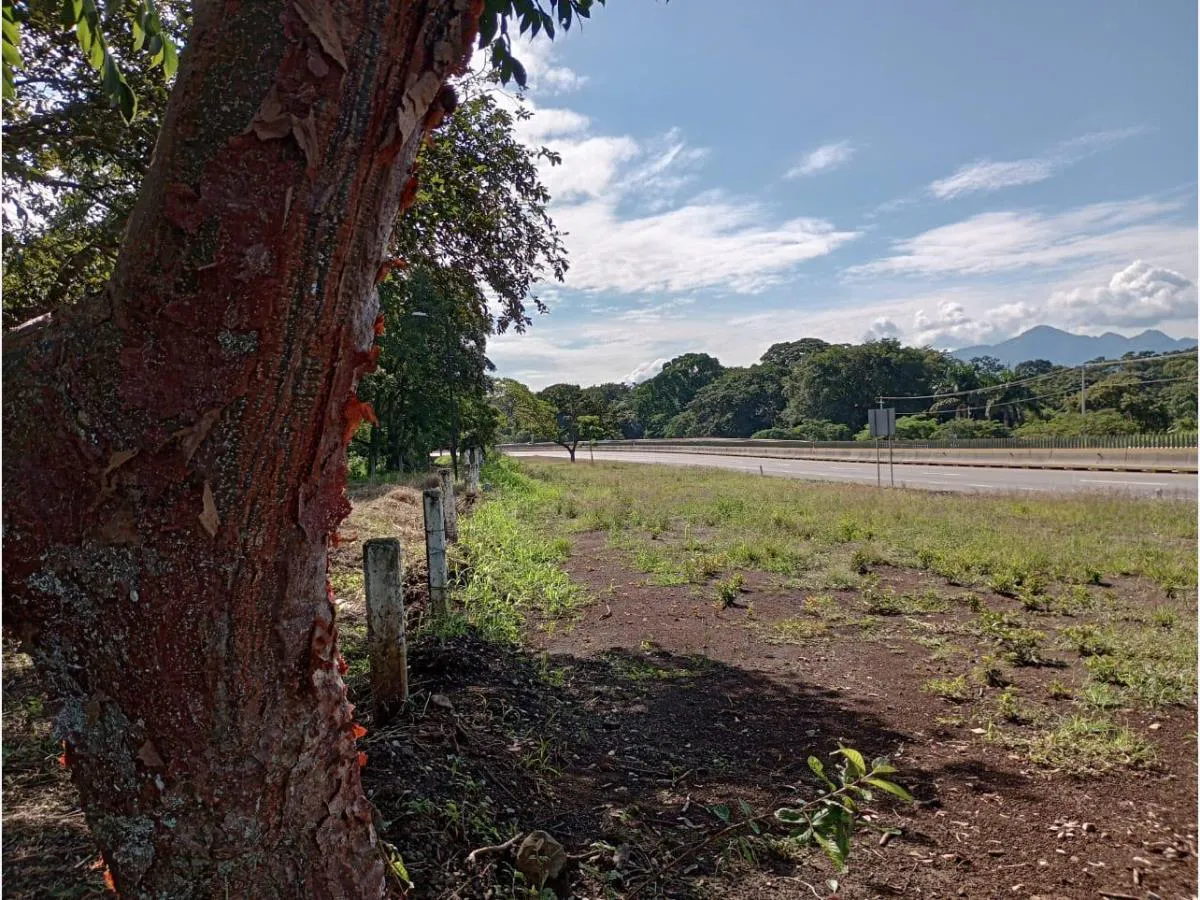 Terreno Spot2