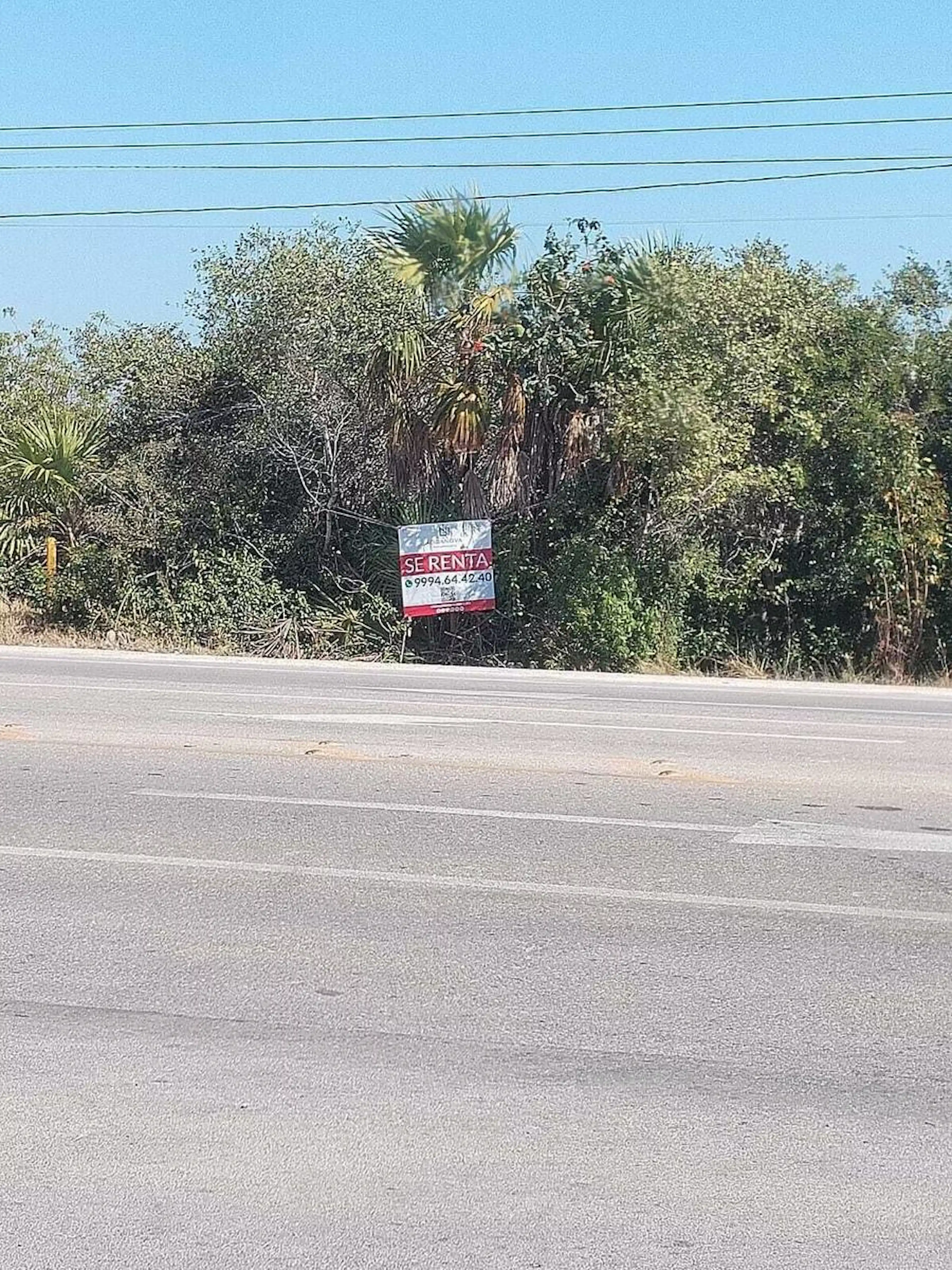 Terreno En Renta En Chicxulub Pueblo, Mérida