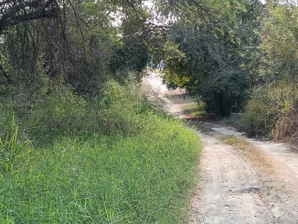 Terreno Spot2