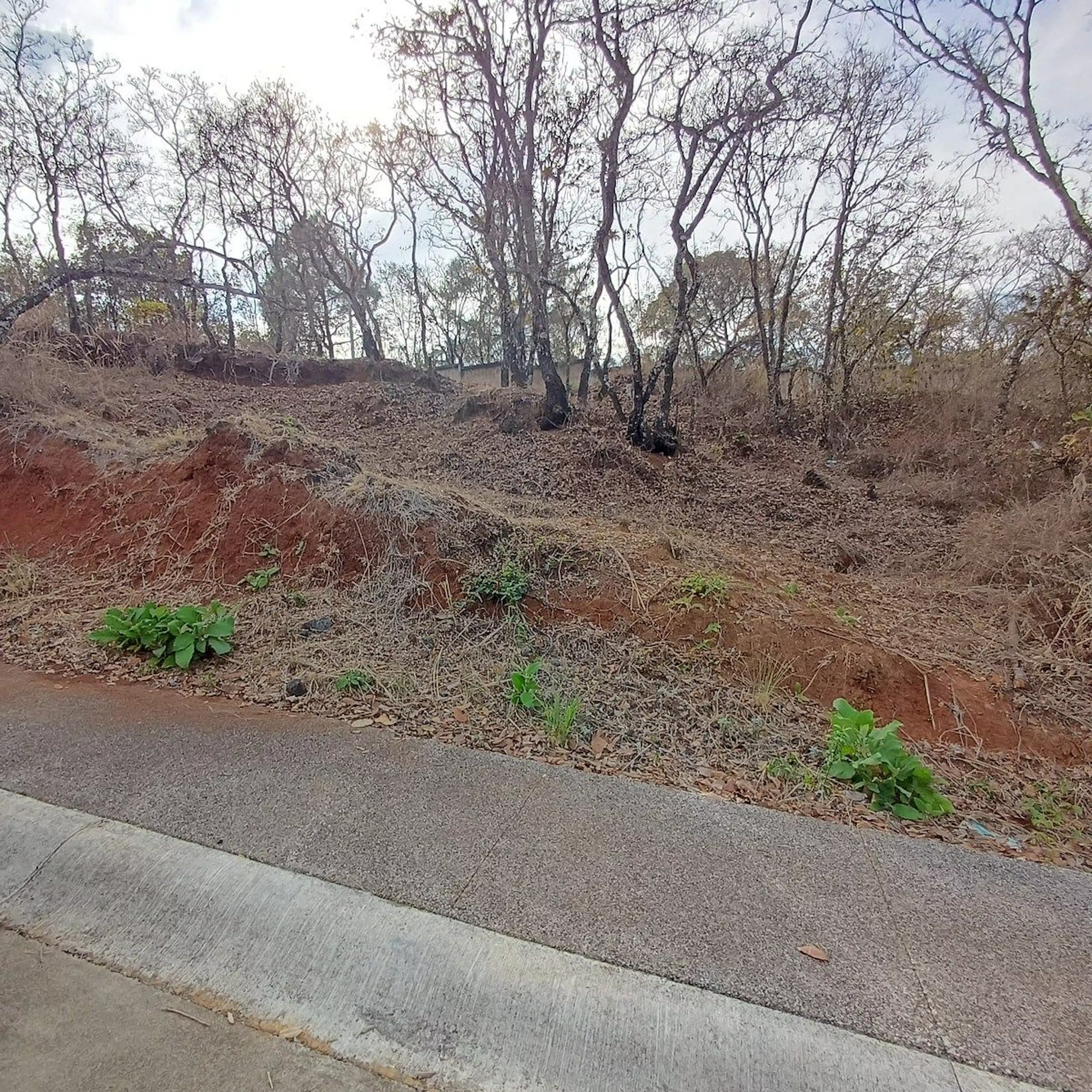 Terreno Correcaminos Altozano