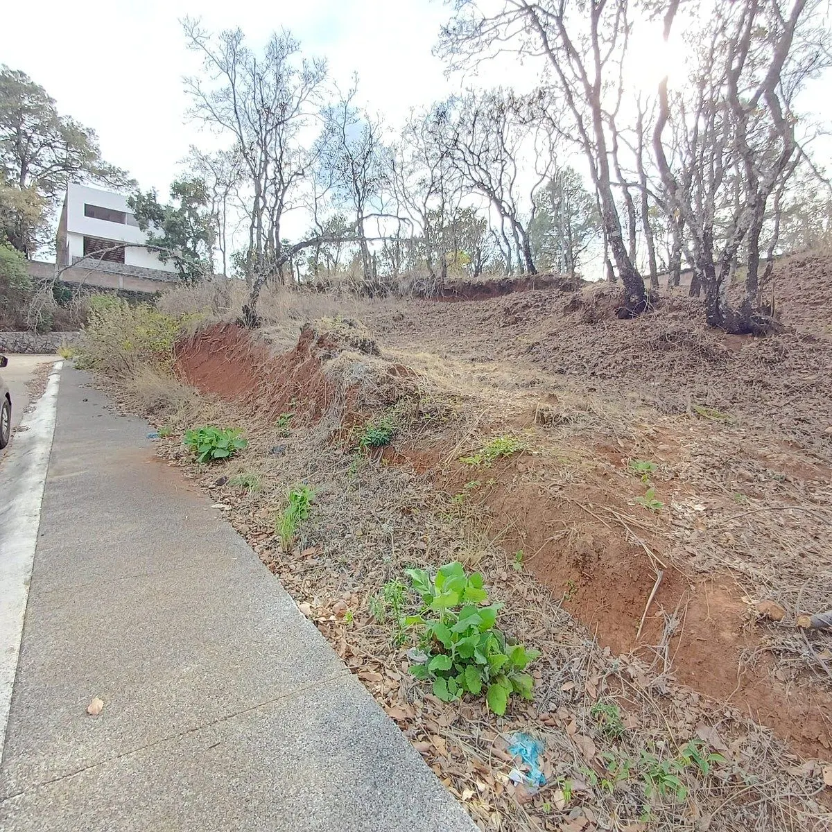 Terreno Spot2