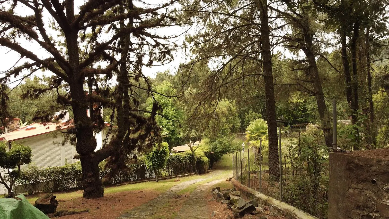 Terreno Spot2