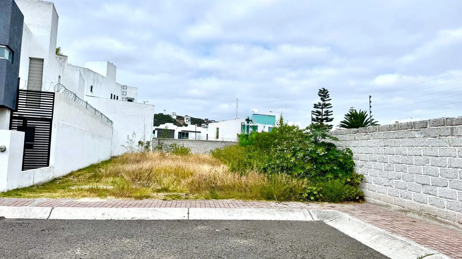 Terreno Spot2