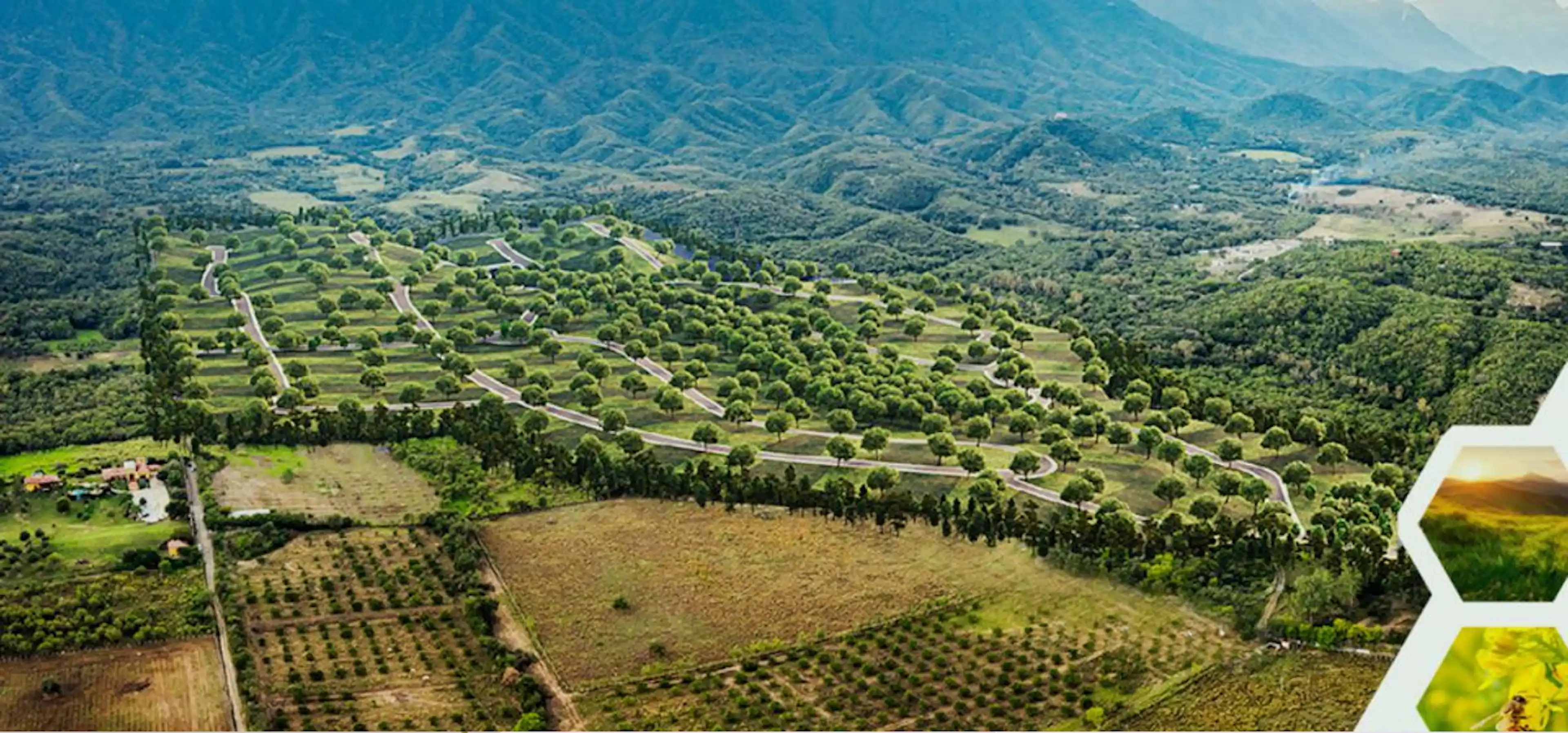 Preventa Lotes Campestre, Lazarillos Allende N.l