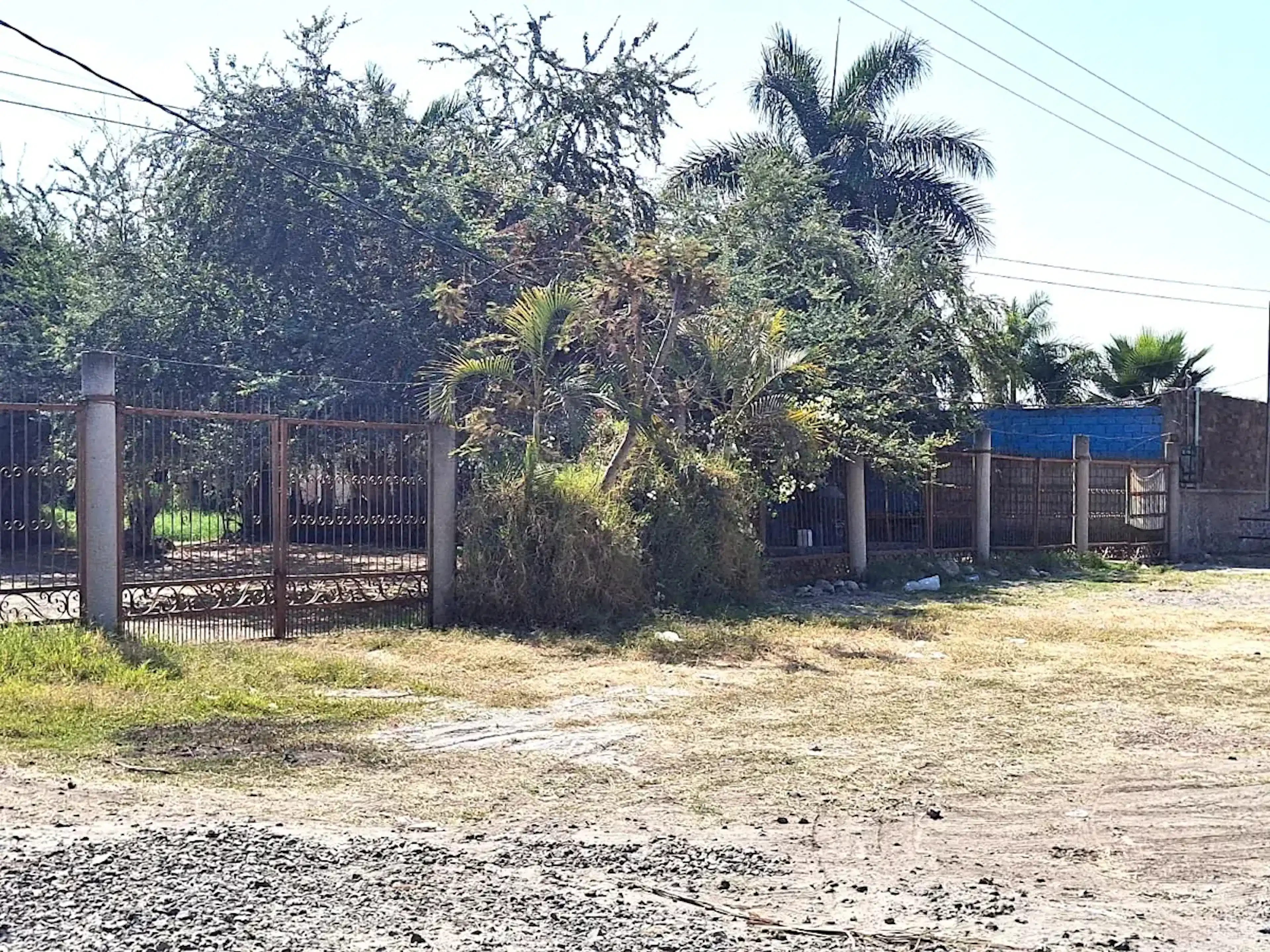 Terreno En Venta En Alpuyeca, Xochitepec, Morelos