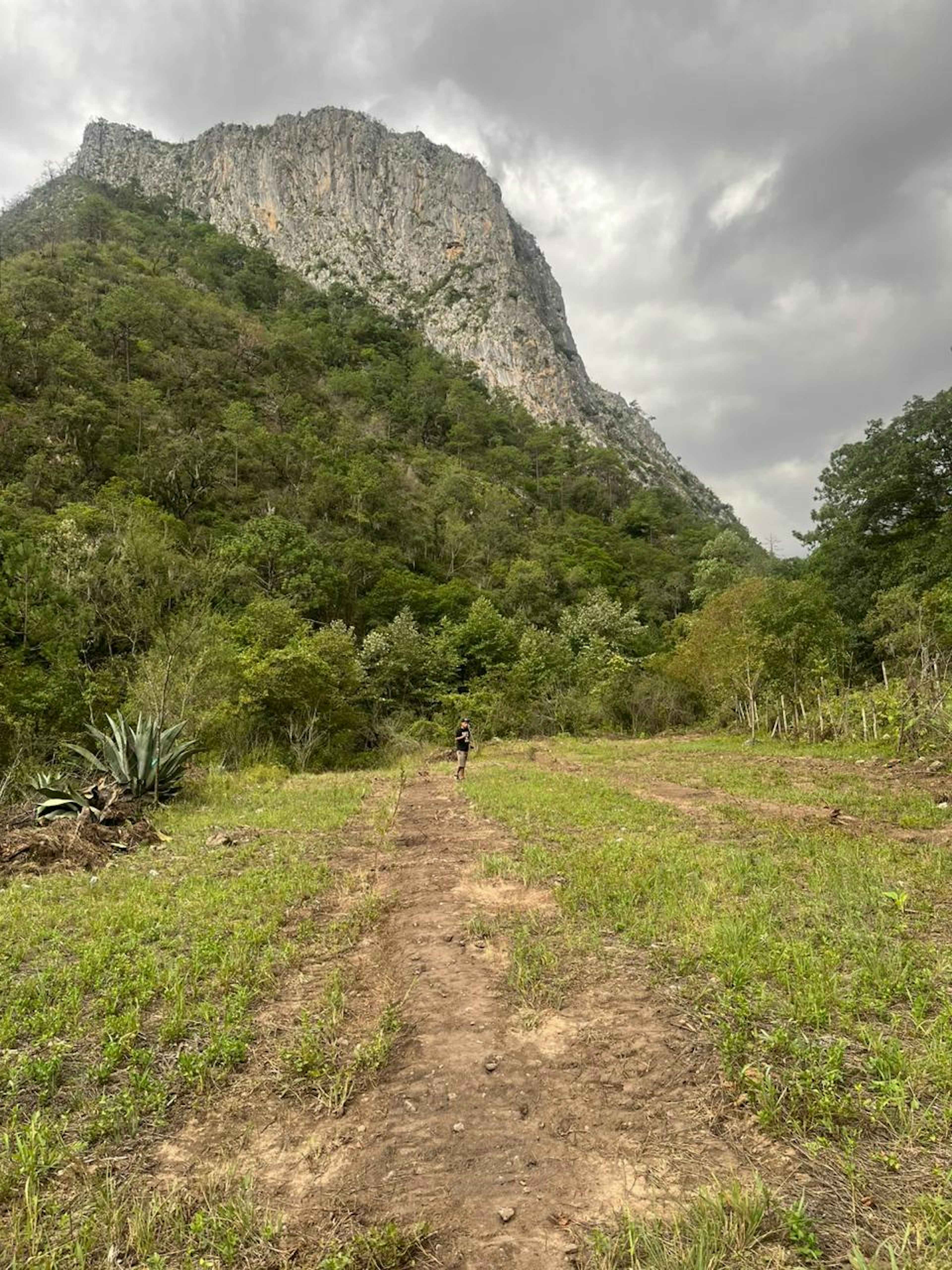 Carretera A San Isidro