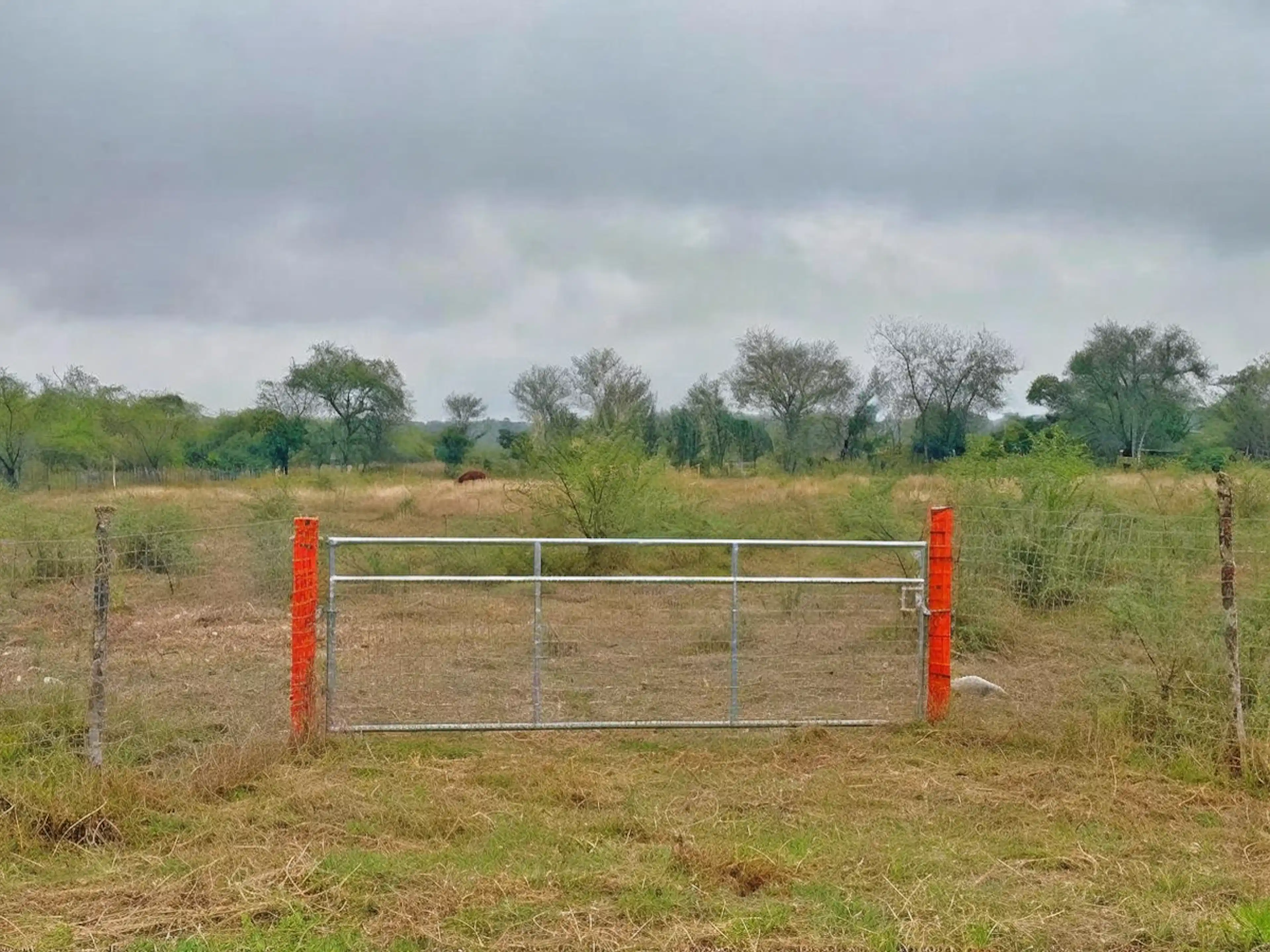 Terreno en Venta en Allende Nuevo León