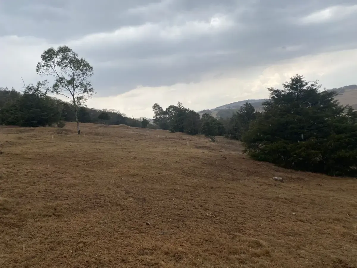 Terreno Spot2