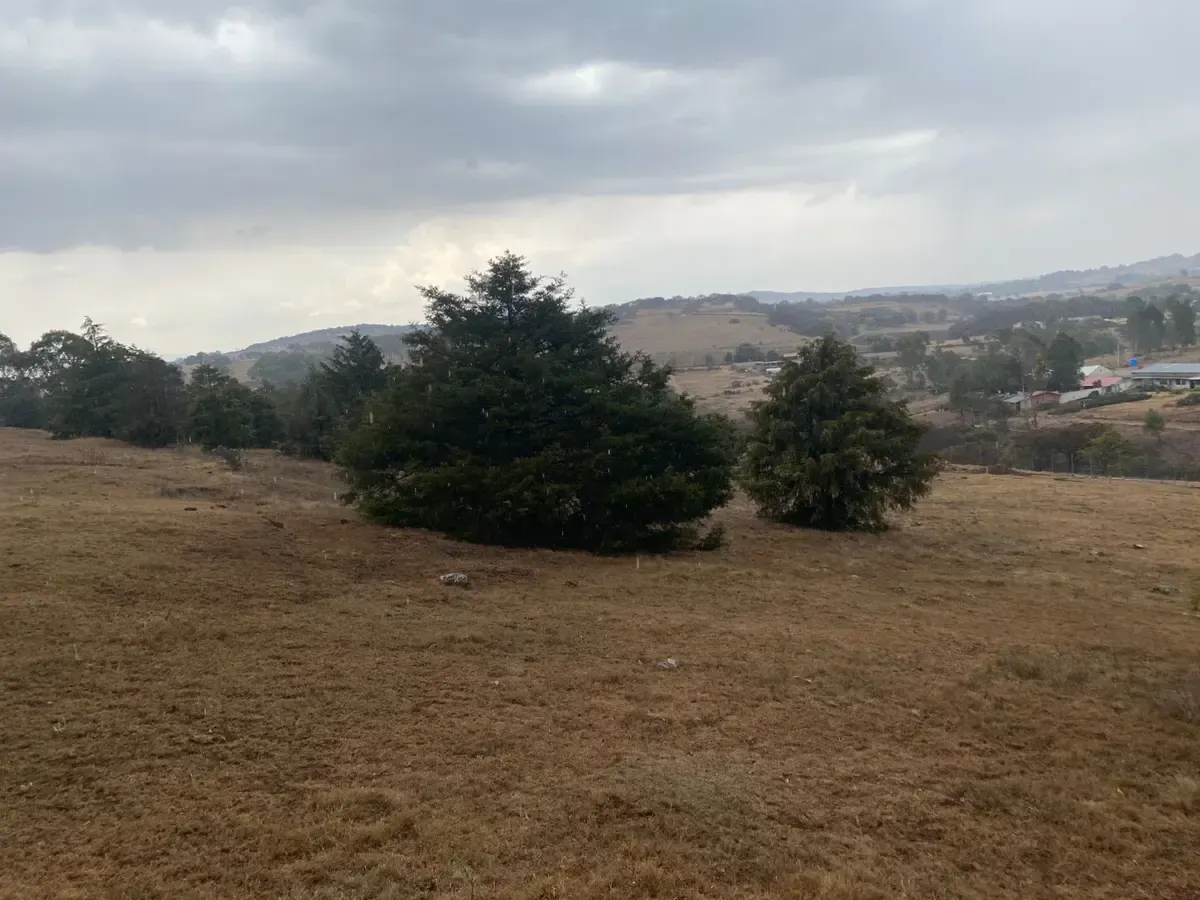 Terreno Spot2
