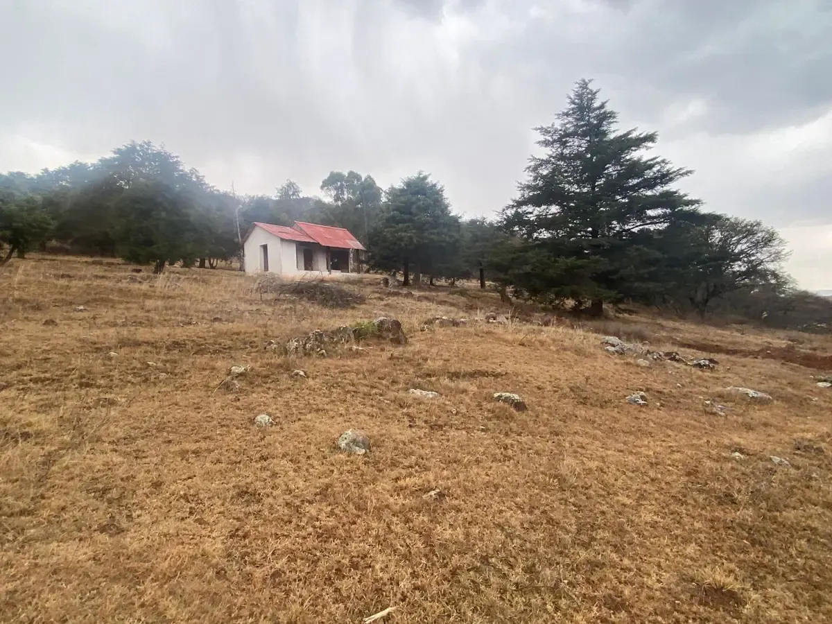 Terreno Spot2