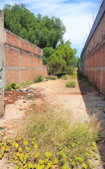 Terreno Spot2