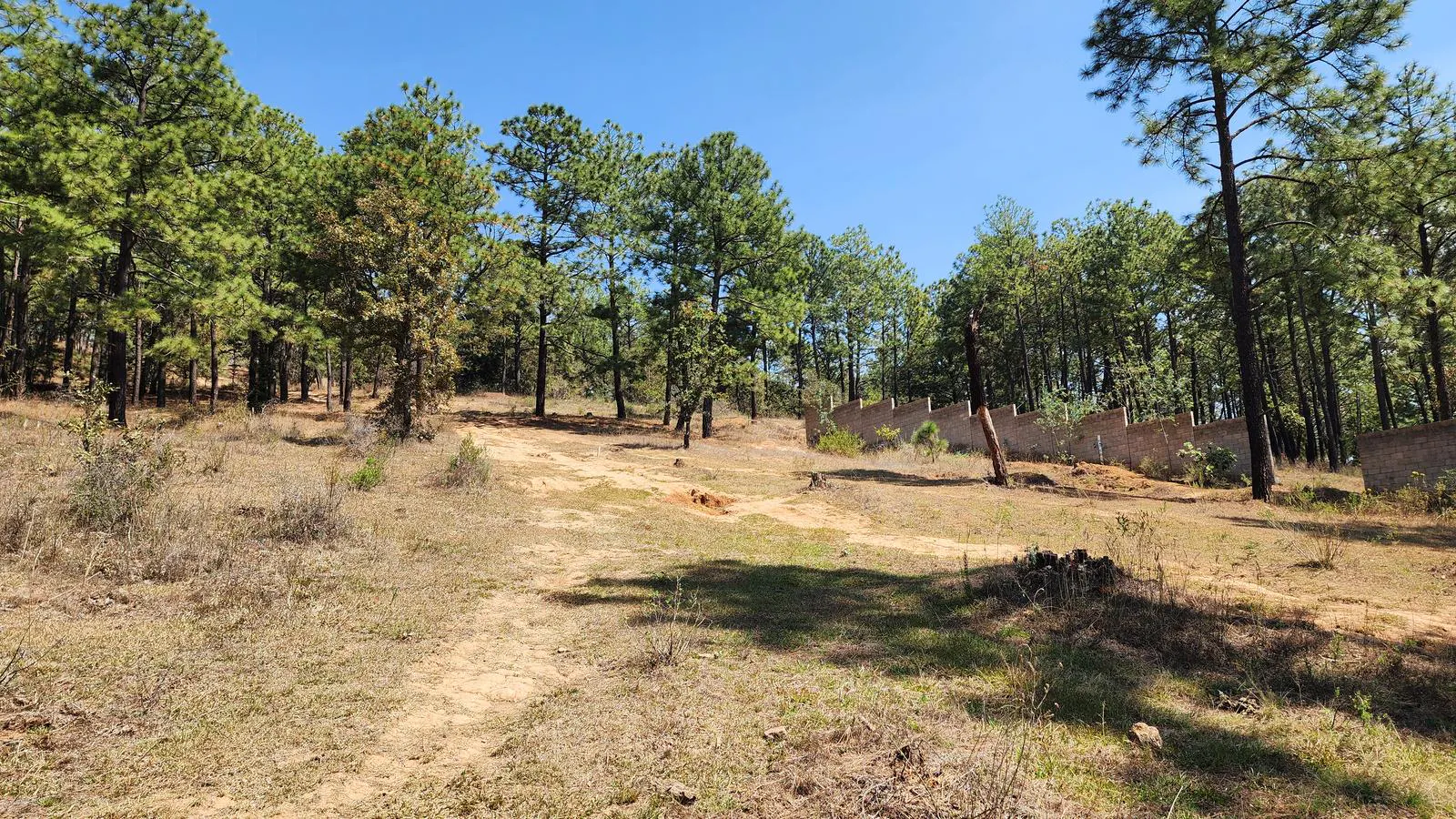Terreno Spot2