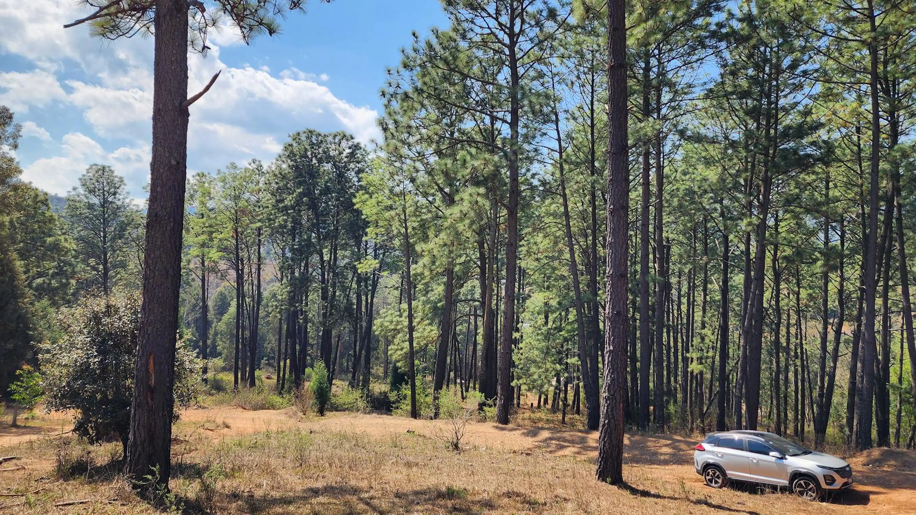 Terreno En Venta En San José De Las Torres Cerca Del Lago Zona Boscosa