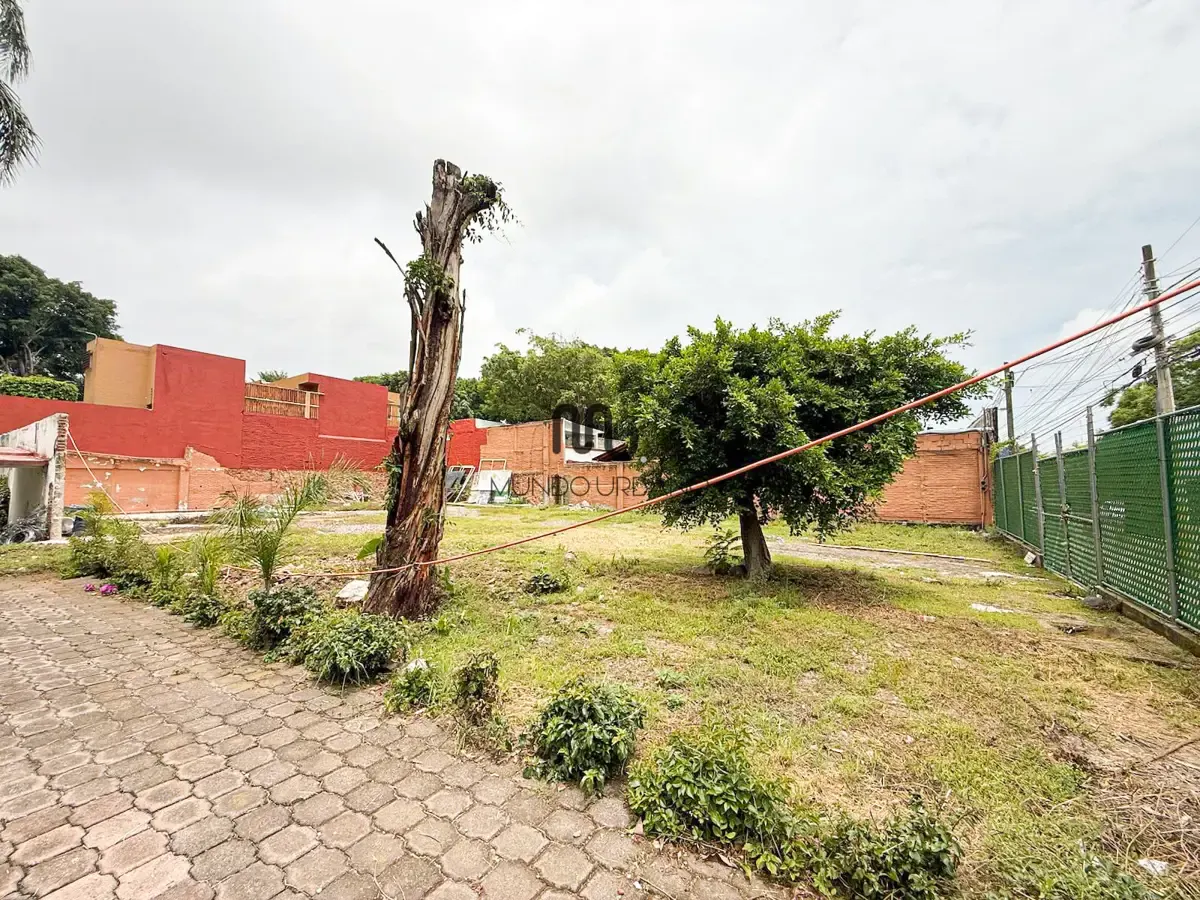 Terreno Spot2