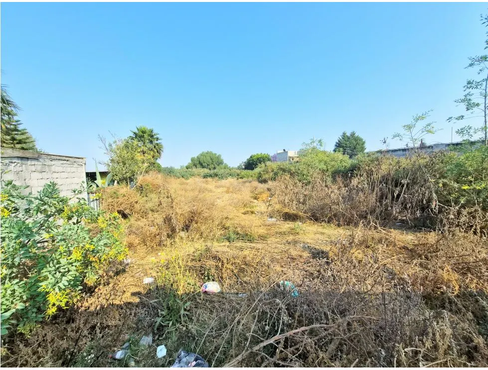 Terreno Spot2