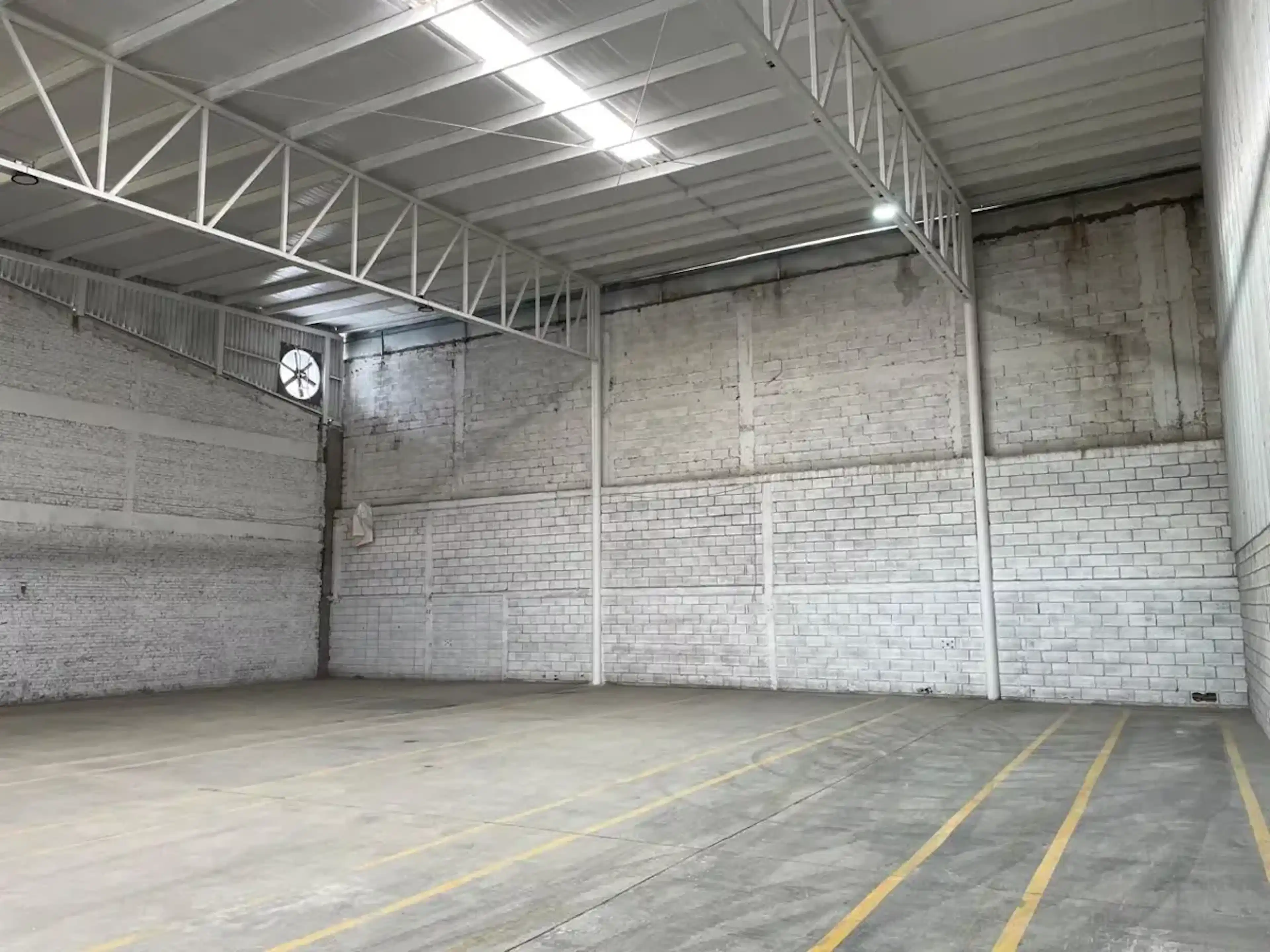 Miguel San Feliz 240