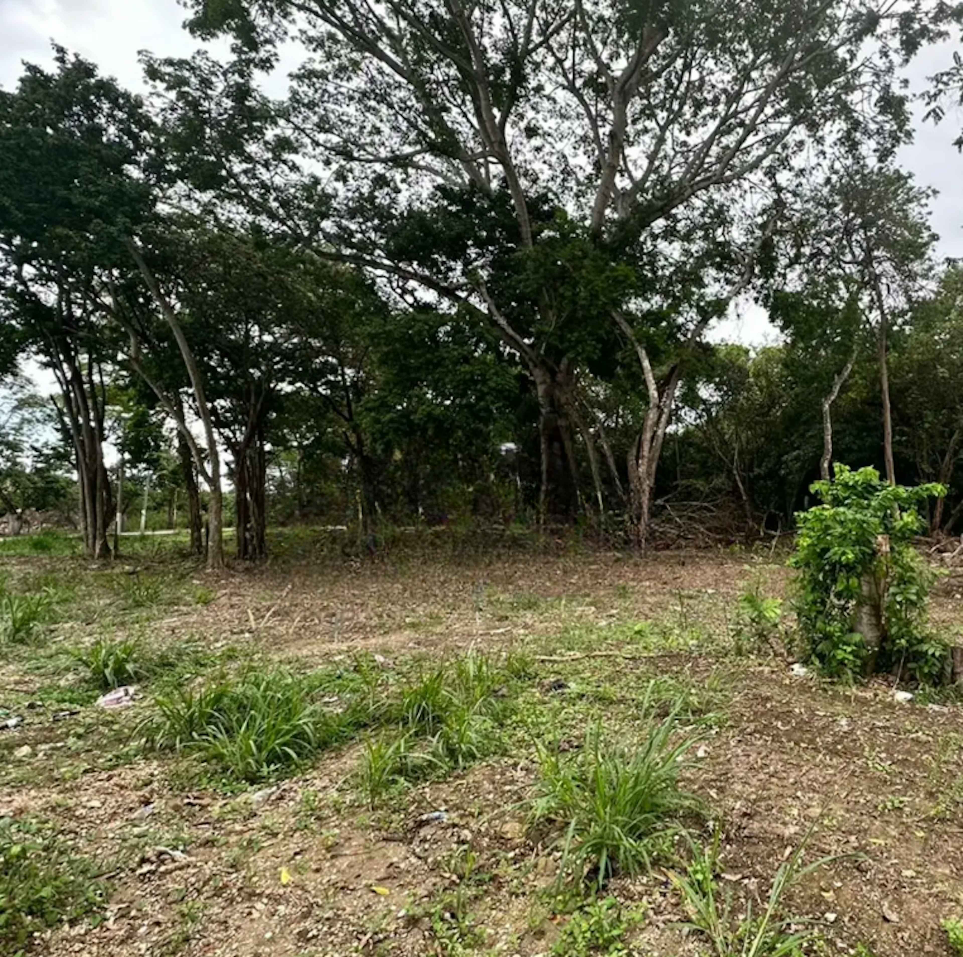 Terreno En Pomoca, Nacajuca, Tabasco