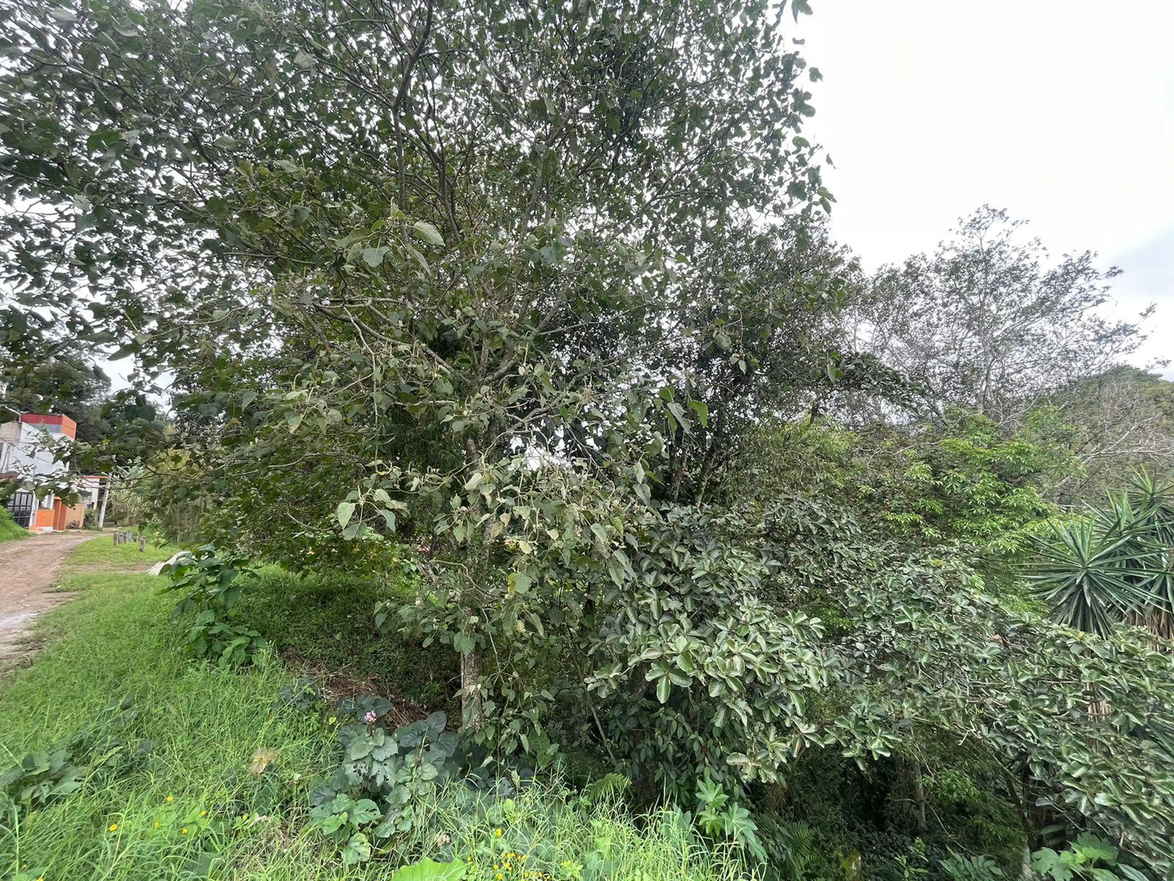 Terreno En Venta En La Colonia Bella Vista