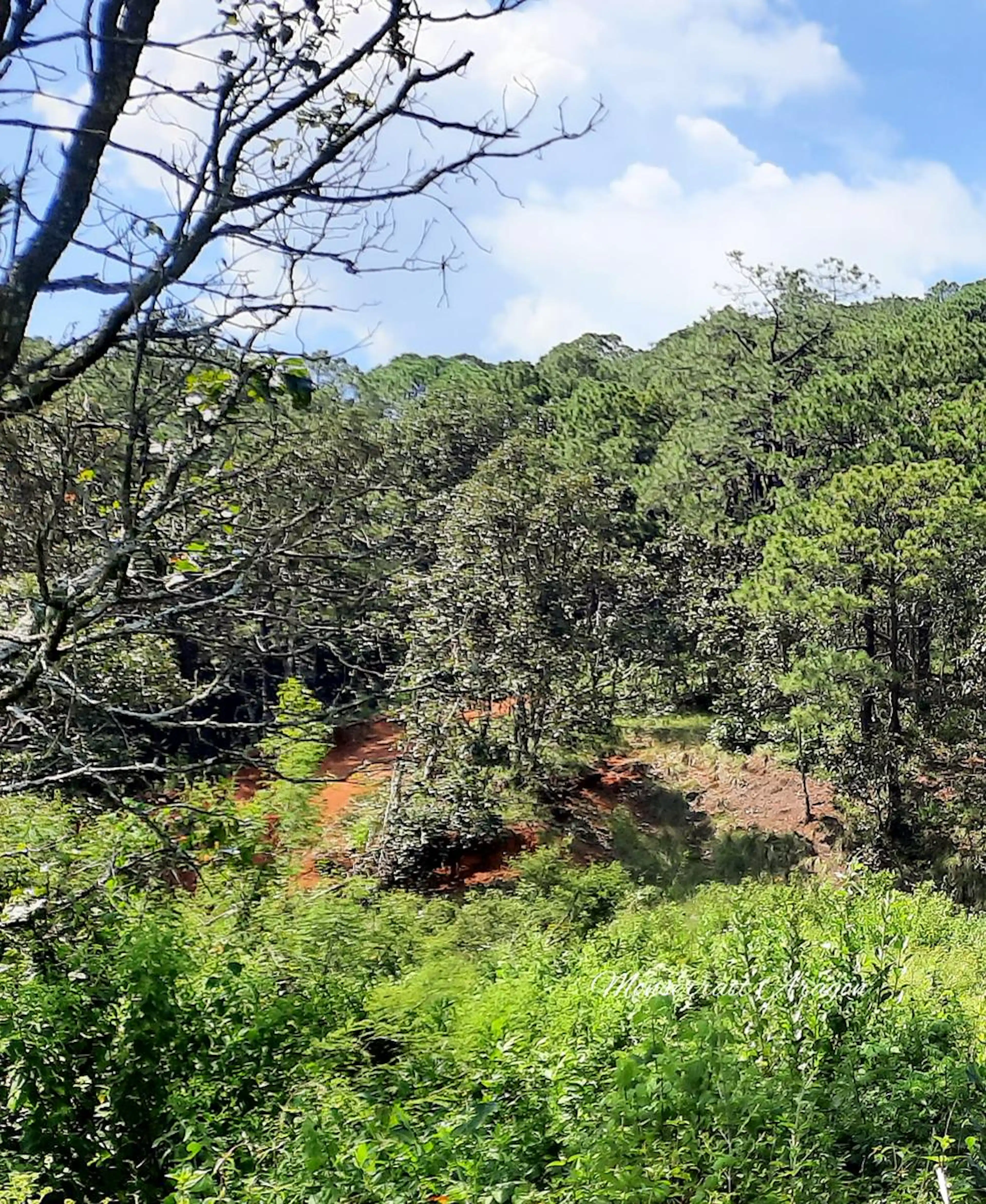 Terreno en Del Centro De Valle
