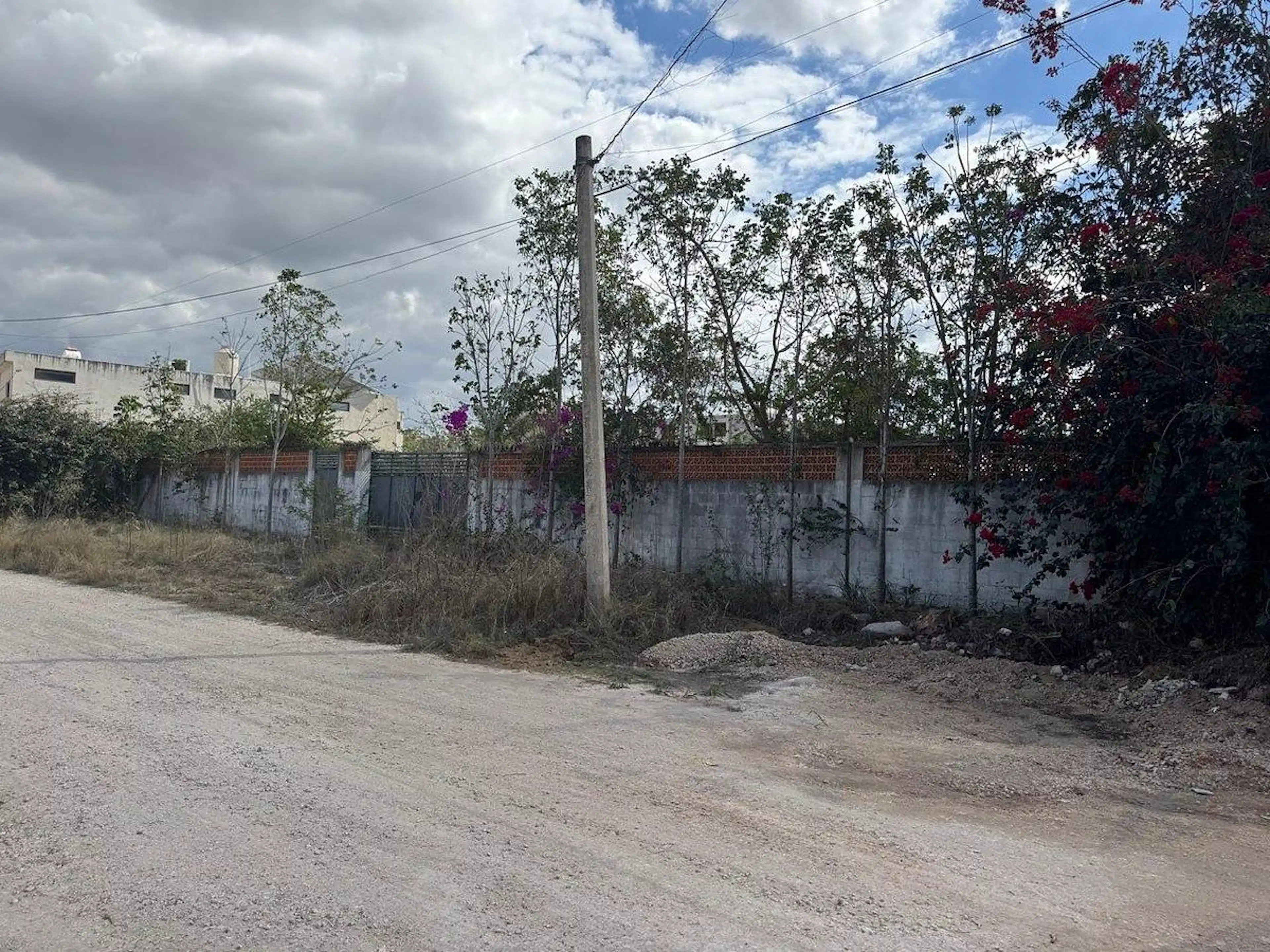 Terreno En Renta En Dzitya