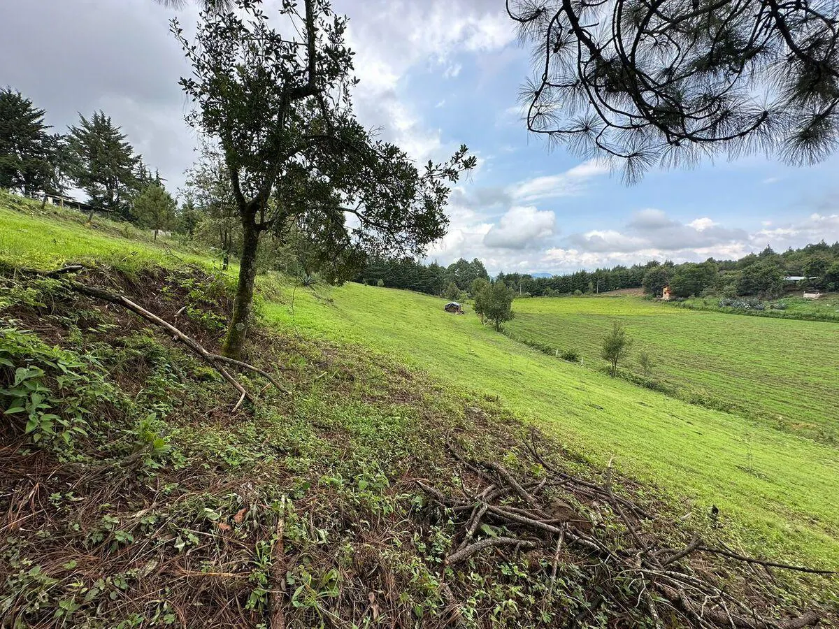 Terreno Spot2