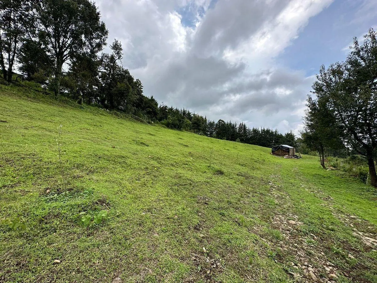 Terreno Spot2
