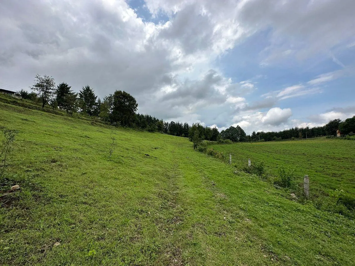 Terreno Spot2