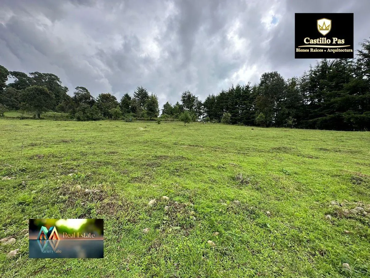 Terreno Spot2