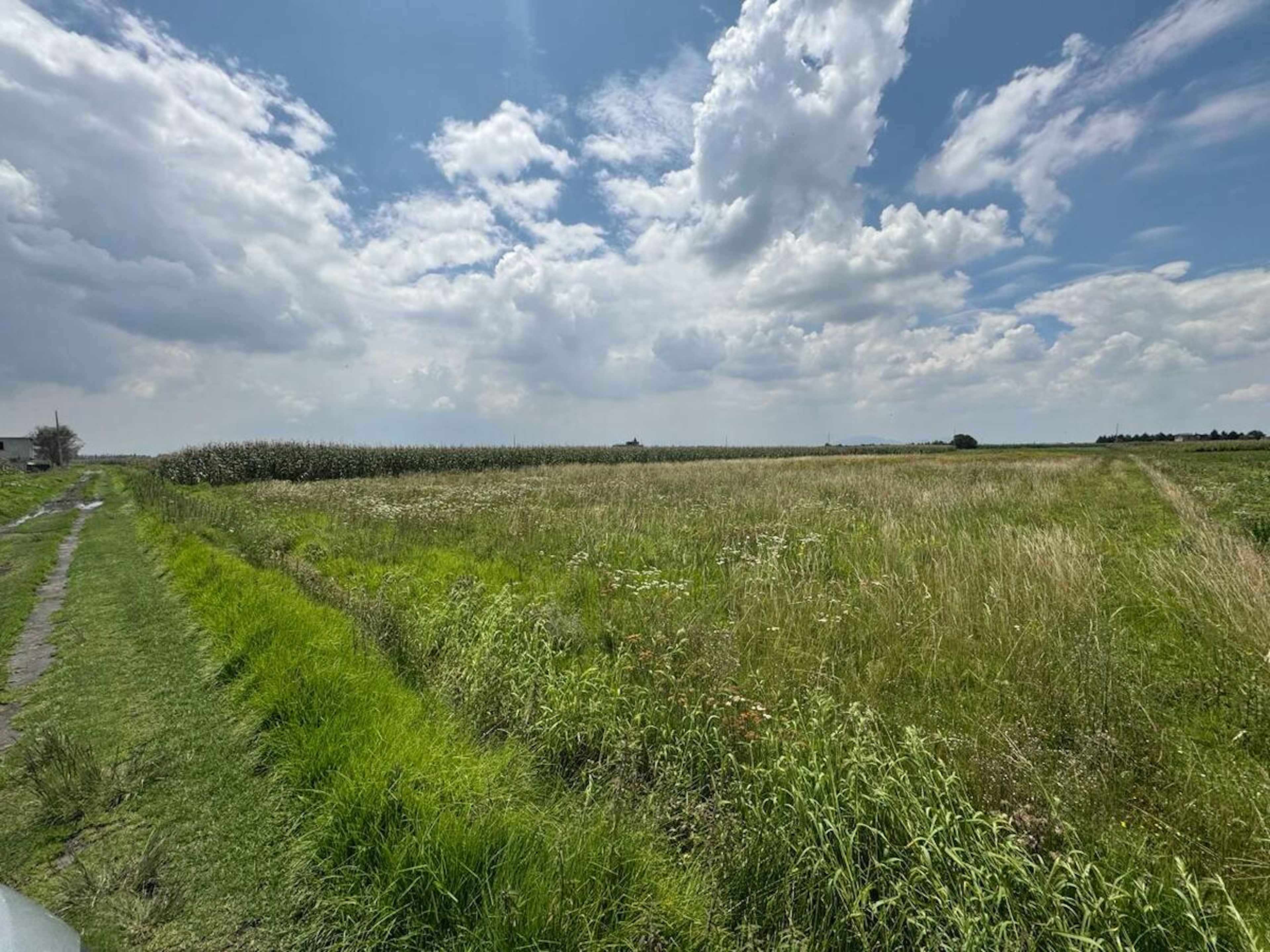 Santa María Atarasquillo