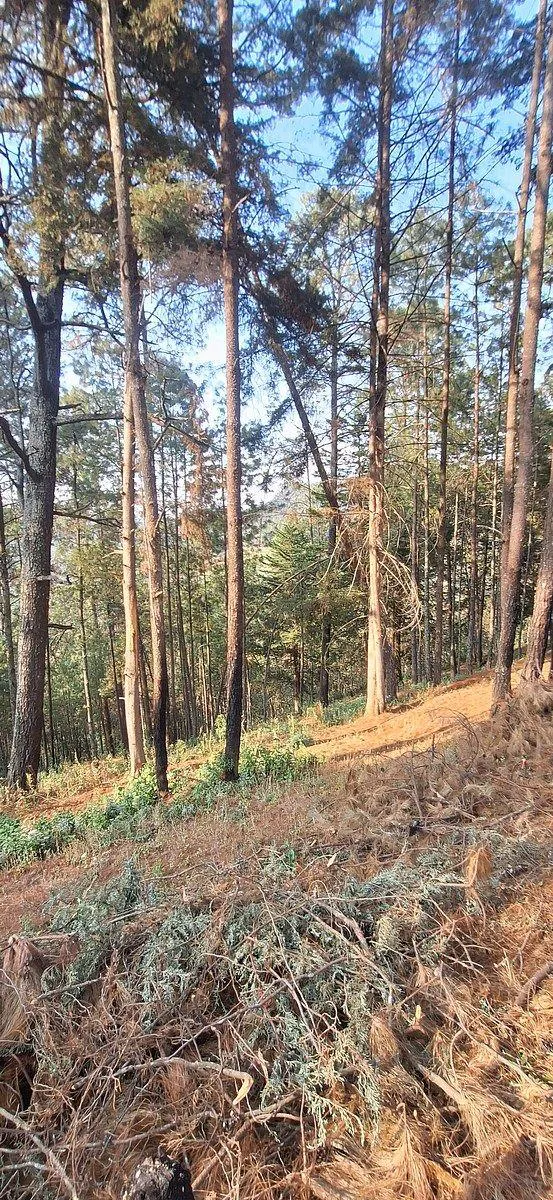 Terreno Spot2
