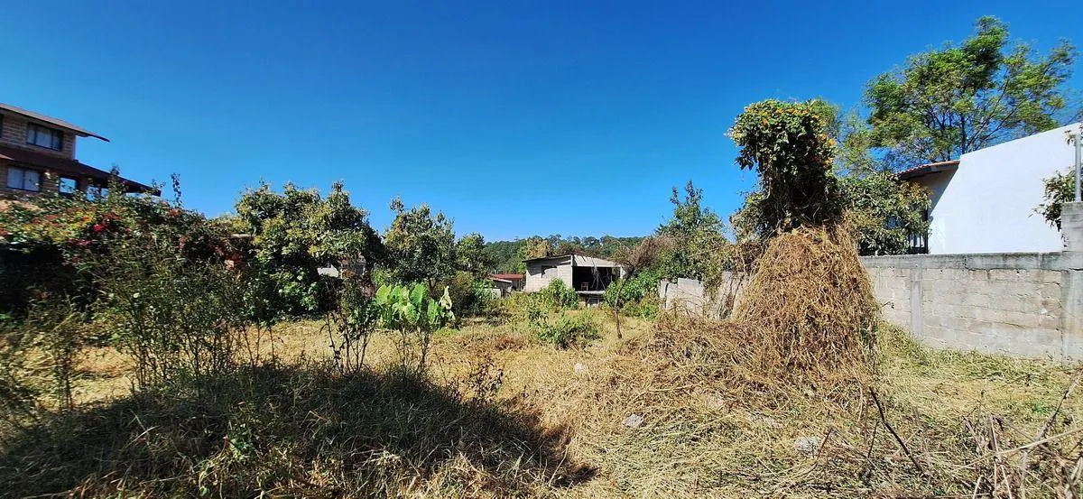 Terreno Spot2