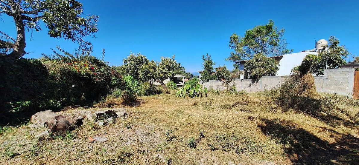Terreno Spot2