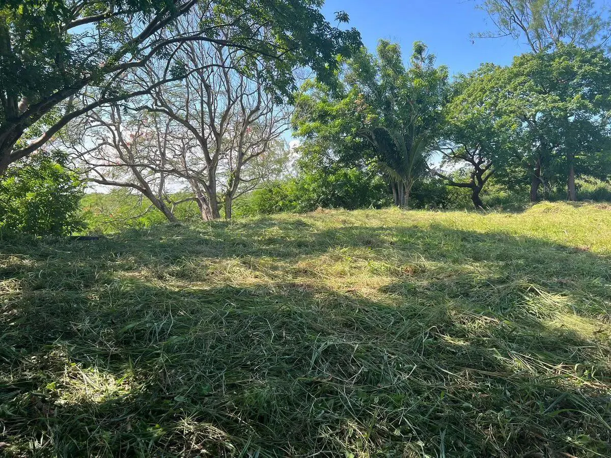 Terreno Spot2
