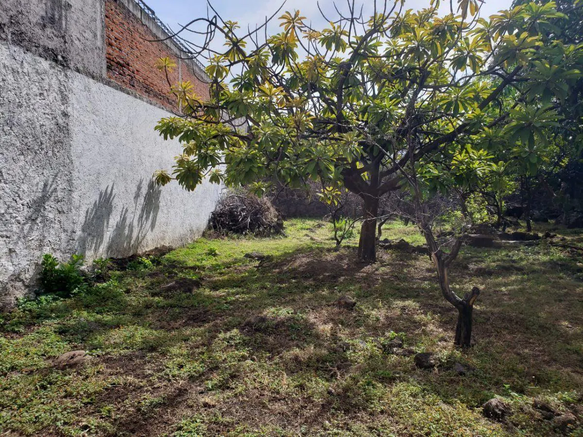 Terreno Spot2