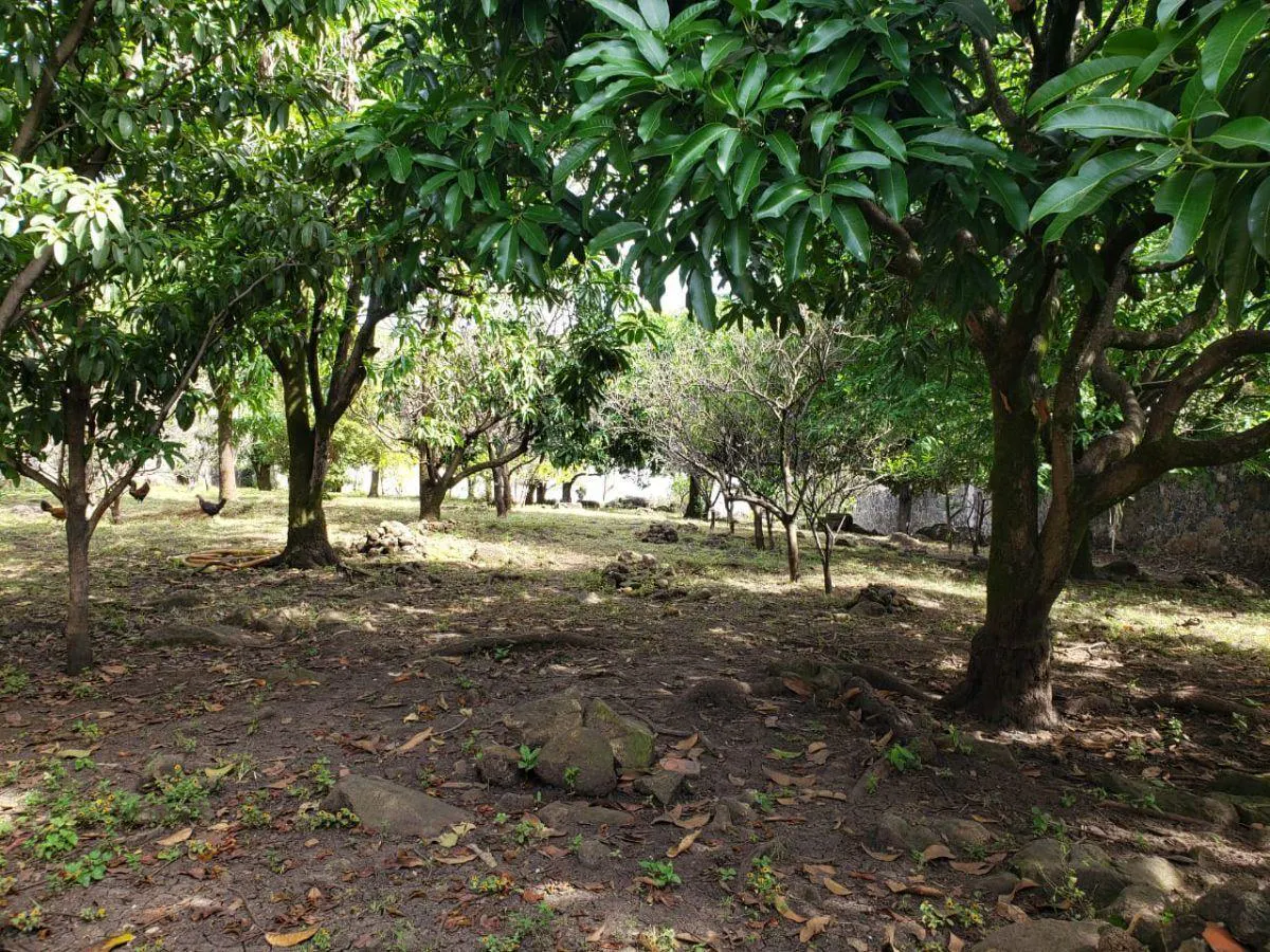 Terreno Spot2
